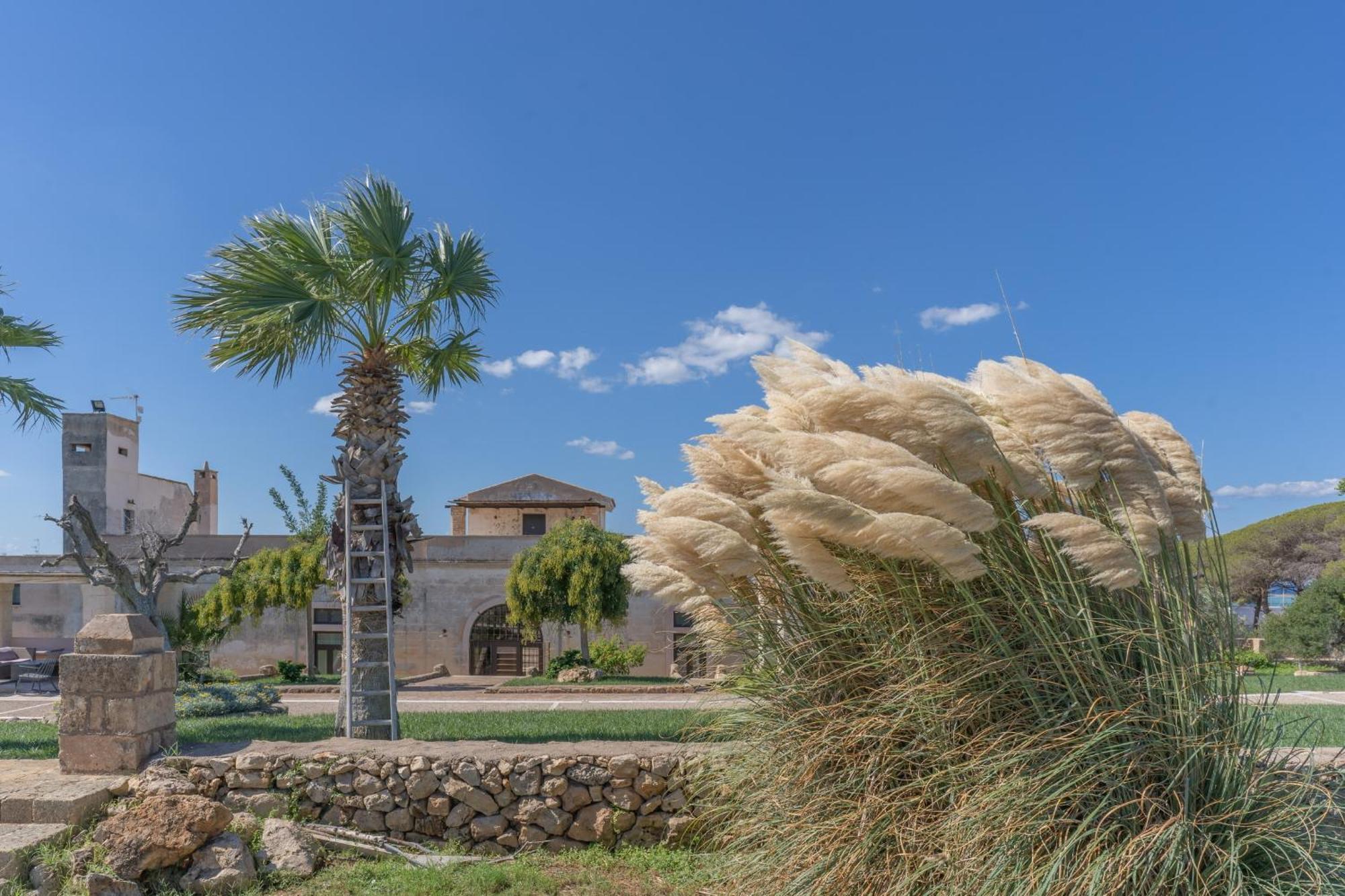 Masseria Casina Bellanova Porto Cesareo Exteriör bild